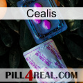 Cealis 37